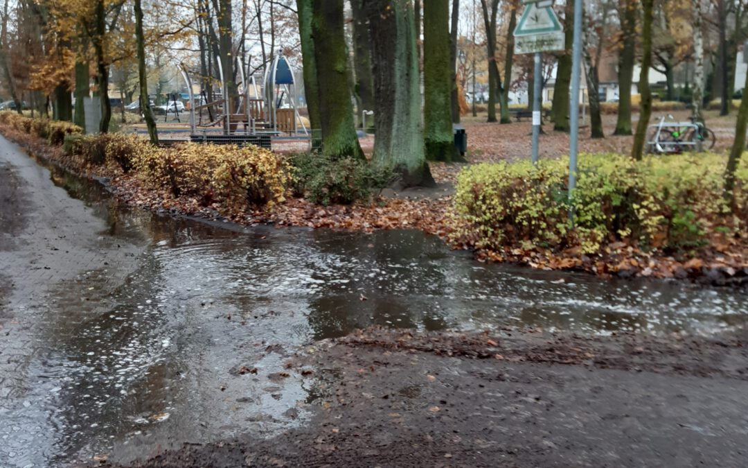 PM: Keine nassen Füße mehr am Falkenplatz