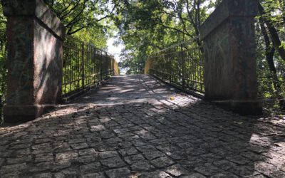 PM: Barrierefreie Brücke zwischen Kleingartenanlage und Steinbergpark