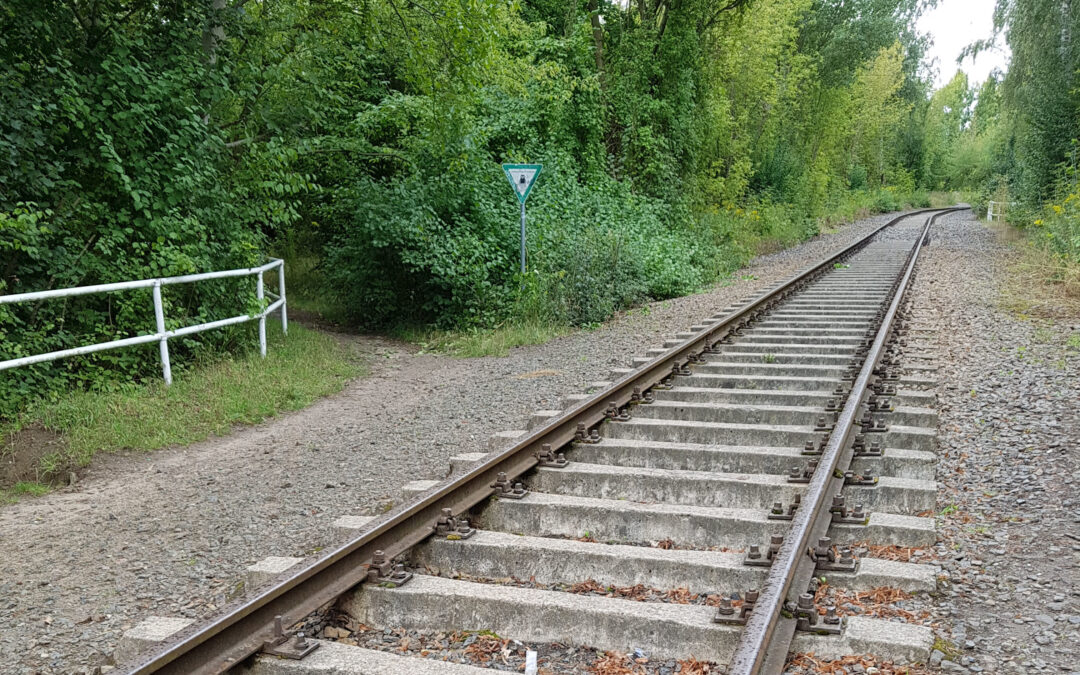 Heidekrautbahn: SPD-Fraktion will mehr Bahnquerungen vom Märkischen Viertel nach Pankow