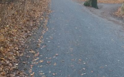 Wittenauer können den  Friedhof am Thiloweg wieder trockenen Fußes erreichen