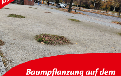 Antrag: Baumpflanzung auf dem Platz vor dem Borsigtor